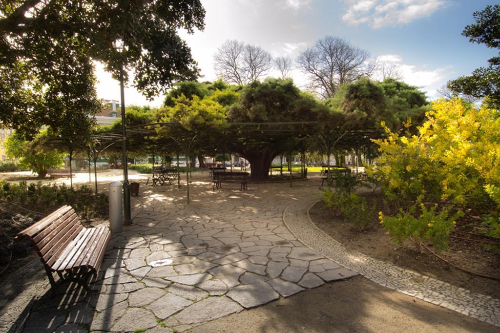 Alegria Center Apartments Lisboa Phòng bức ảnh